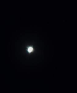 venera22