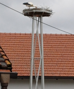20250414_103853