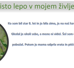 tisto_lepo_v_zivljenju_matic