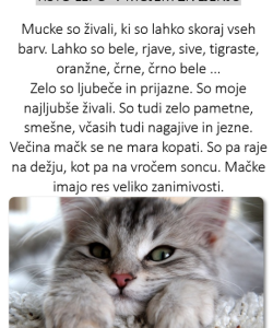 tisto_lepo_v_zivljenju_tia