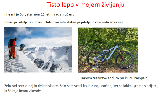 tisto_lepo_v_zivljenju_bor