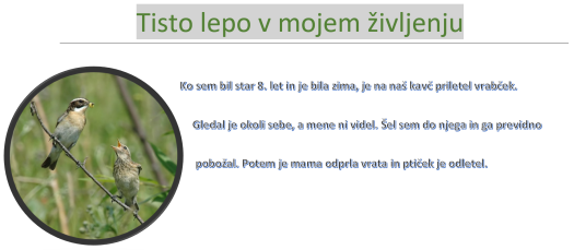tisto_lepo_v_zivljenju_matic