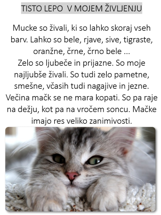 tisto_lepo_v_zivljenju_tia
